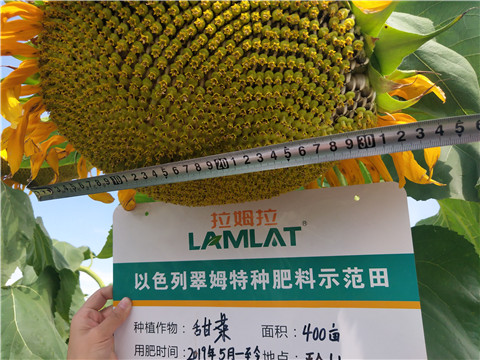 水溶肥，微生物菌劑，拉姆拉