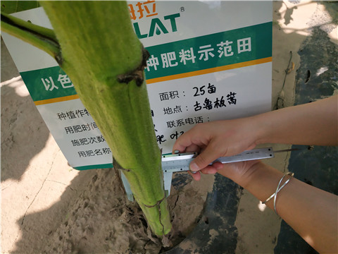 水溶肥，微生物菌劑，拉姆拉