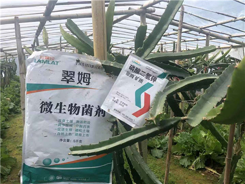 磷酸二氫鉀，翠姆，拉姆拉