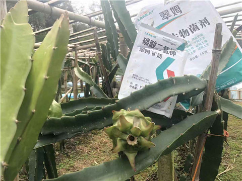 磷酸二氫鉀，翠姆，拉姆拉