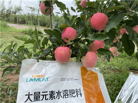 水溶肥，翠姆，拉姆拉