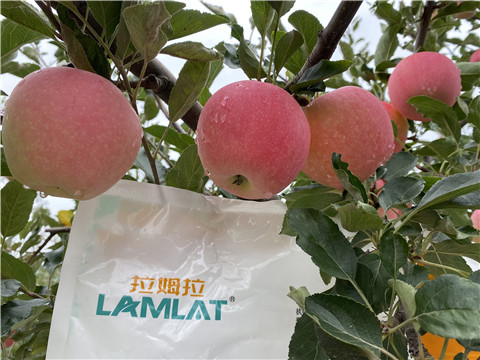 水溶肥，翠姆，拉姆拉