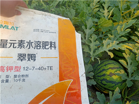 水溶肥，拉姆拉，翠姆