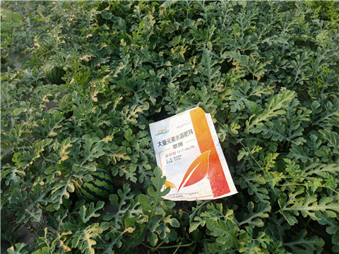 水溶肥，拉姆拉，翠姆