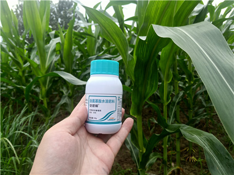 安碧解，拉姆拉