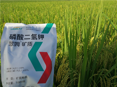 葉面肥，水稻灌漿肥，拉姆拉