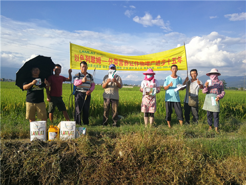 葉面肥，水稻灌漿肥，拉姆拉