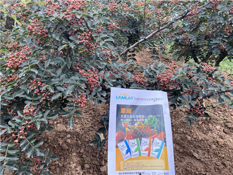 花椒種植，大量元素水溶肥，翠姆