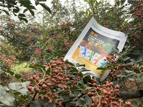 花椒種植，大量元素水溶肥，翠姆