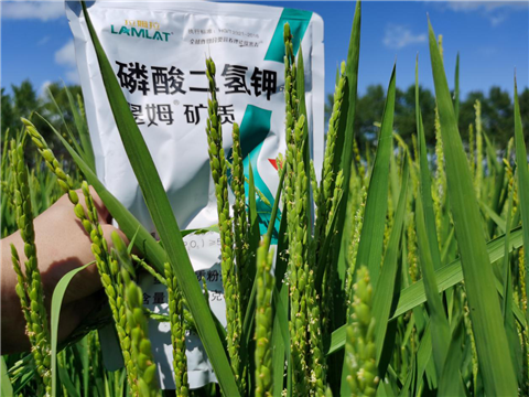 水溶肥，磷酸二氫鉀