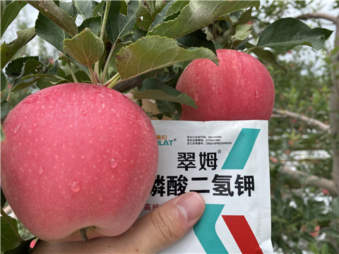 高鉀水溶肥，磷酸二氫鉀，拉姆拉，翠姆