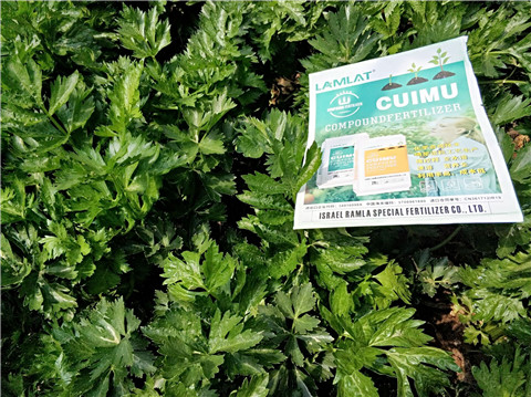 高鉀水溶肥，磷酸二氫鉀，拉姆拉，翠姆