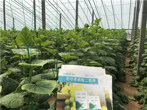 水溶肥，拉姆拉