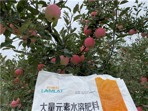 進(jìn)口水溶肥品牌，拉姆拉，翠姆