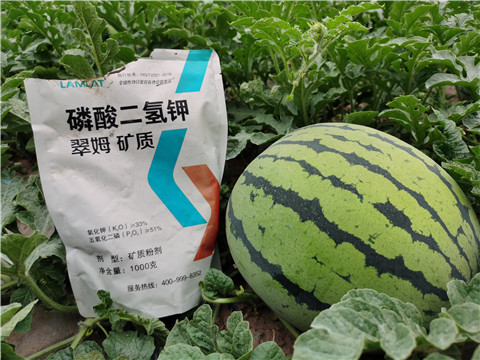 進(jìn)口水溶肥，翠姆，拉姆拉