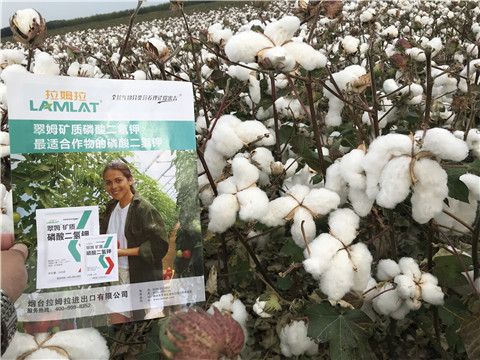 進(jìn)口水溶肥，翠姆，拉姆拉