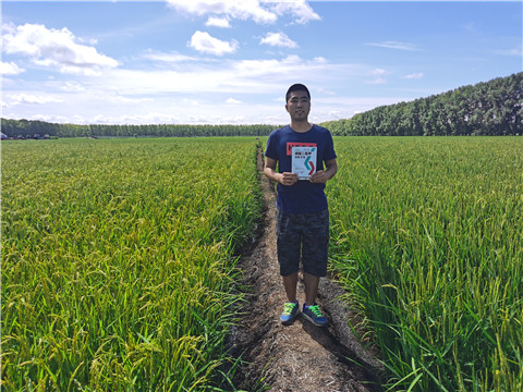 磷酸二氫鉀，拉姆拉，翠姆