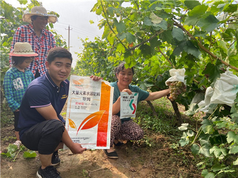 進(jìn)口水溶肥，拉姆拉