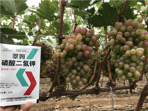 進(jìn)口水溶肥，拉姆拉