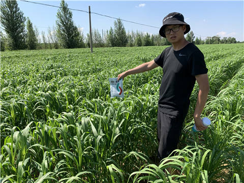 磷酸二氫鉀，拉姆拉，翠姆