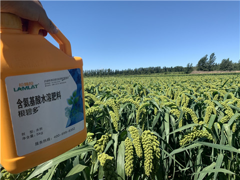 磷酸二氫鉀，拉姆拉，翠姆