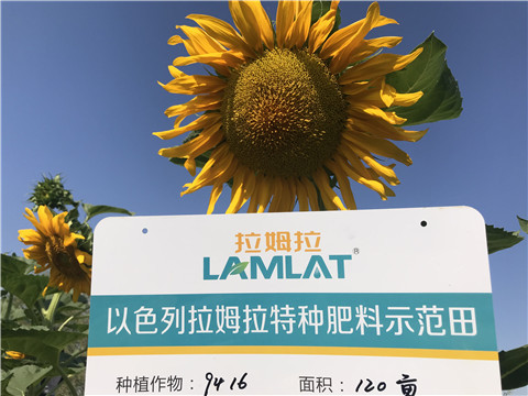 進(jìn)口水溶肥，拉姆拉