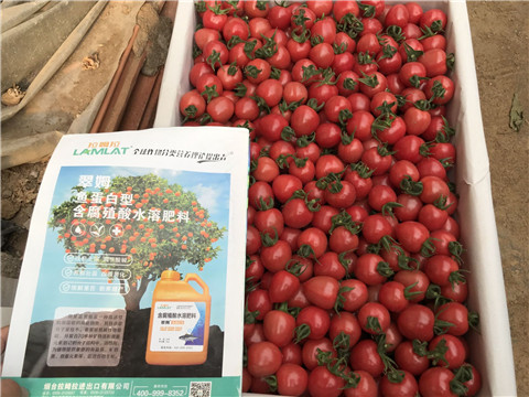 微生物菌劑，磷酸二氫鉀，翠姆，拉姆拉