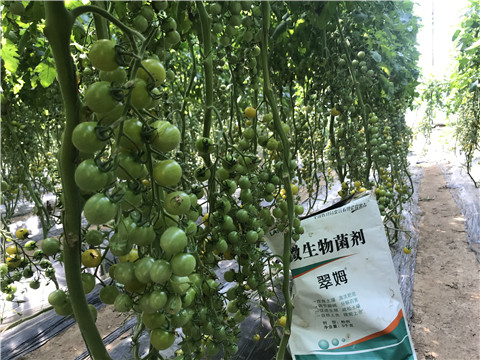 微生物菌劑，磷酸二氫鉀，翠姆，拉姆拉