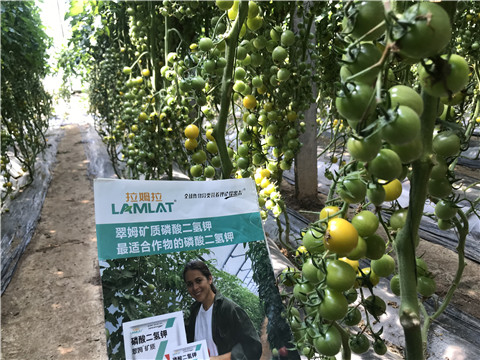 微生物菌劑，磷酸二氫鉀，翠姆，拉姆拉