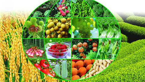 水溶肥，拉姆拉，翠姆