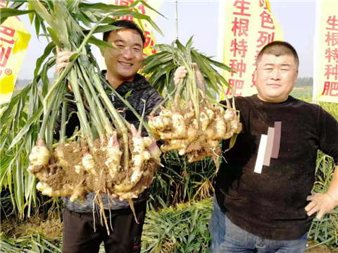 水溶肥，翠姆，拉姆拉