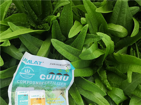 水溶肥，翠姆，拉姆拉