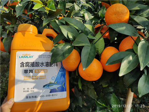 水溶肥，翠姆，拉姆拉