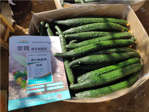 葉面肥，安碧解，除草劑藥害