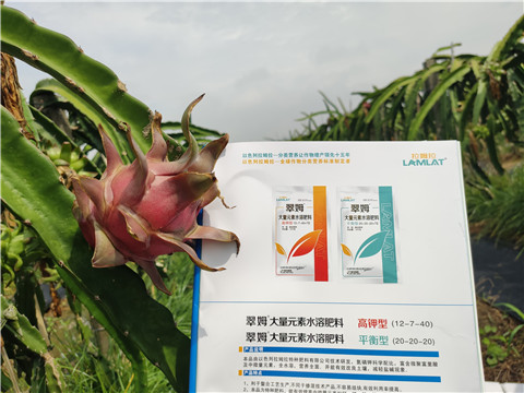 進(jìn)口水溶肥，拉姆拉，翠姆