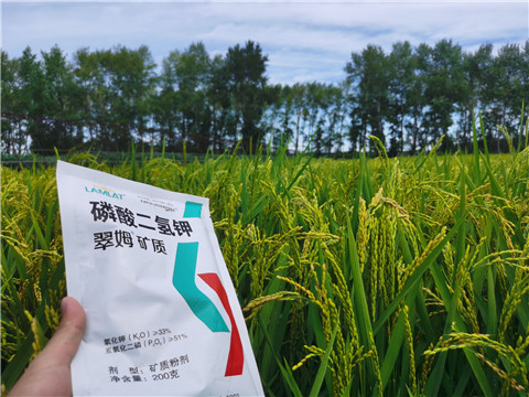 磷酸二氫鉀，拉姆拉，翠姆