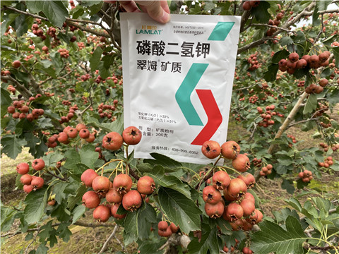 磷酸二氫鉀，拉姆拉，翠姆