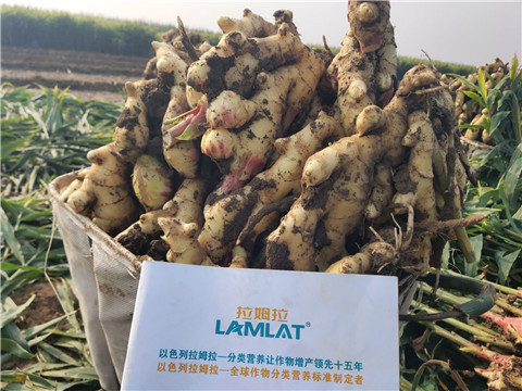 進(jìn)口水溶肥，翠姆，拉姆拉