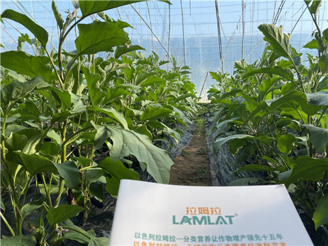 進(jìn)口水溶肥，翠姆，拉姆拉