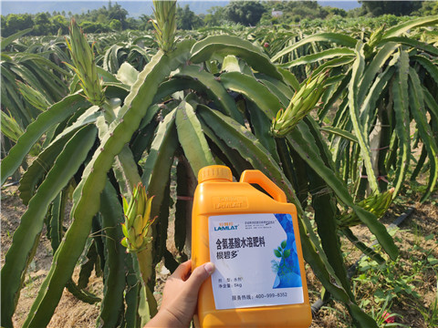 水溶肥，拉姆拉，翠姆