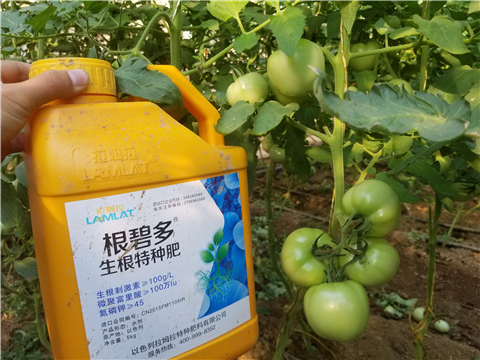 葉面肥，磷酸二氫鉀，微生物菌劑，翠姆，拉姆拉