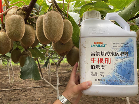 水溶肥，生根劑，微生物菌劑，伯示麥，拉姆拉