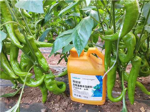 水溶肥，拉姆拉