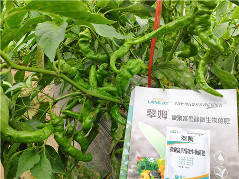 水溶肥，拉姆拉