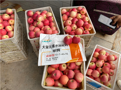 水溶肥，大量元素水溶肥，翠姆，拉姆拉