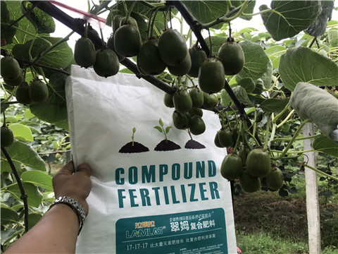 顆粒水溶肥，拉姆拉，翠姆