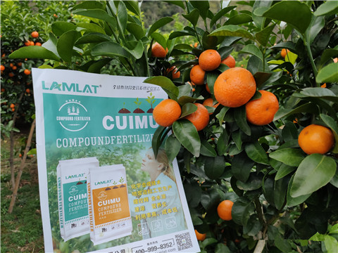 顆粒水溶肥，拉姆拉，翠姆