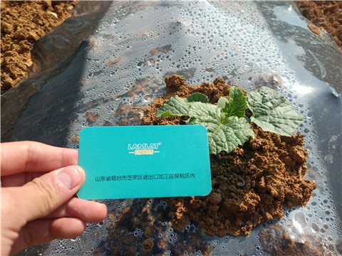 水溶肥，拉姆拉