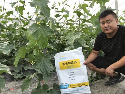 水溶肥，拉姆拉