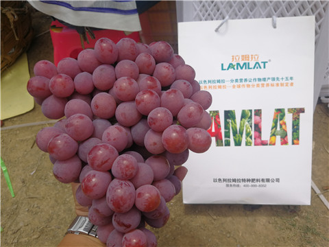 葉面肥，磷酸二氫鉀，鈣肥，翠姆，拉姆拉